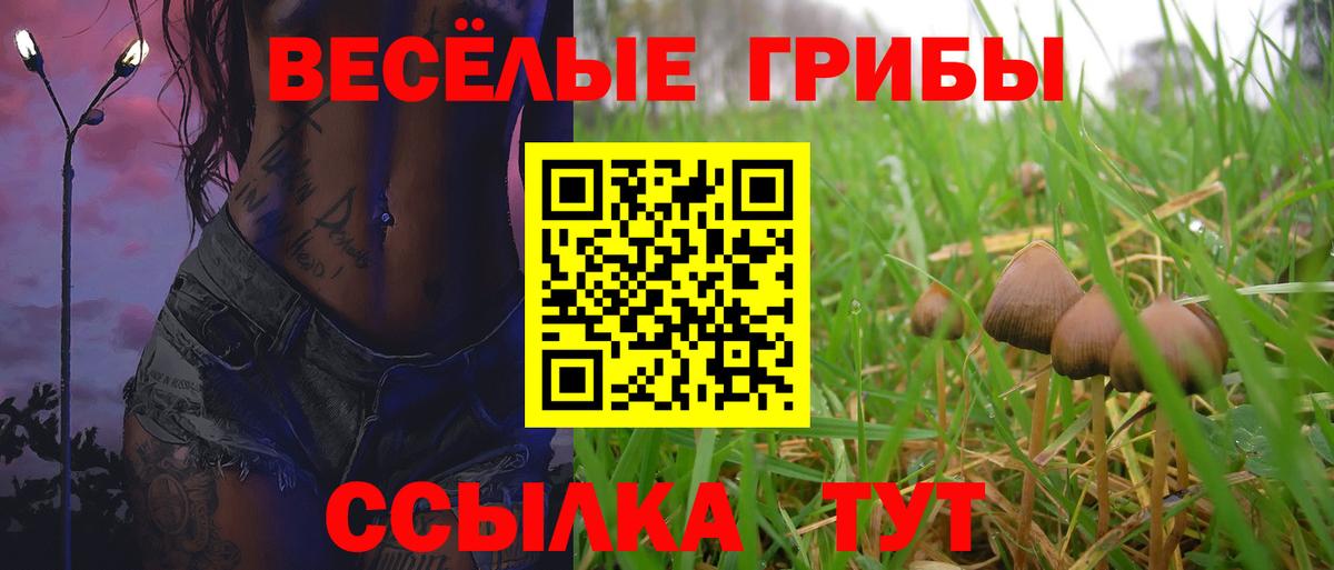 Жуковский  Псилоцибиновые грибы Cubensis  Вход с VPN 